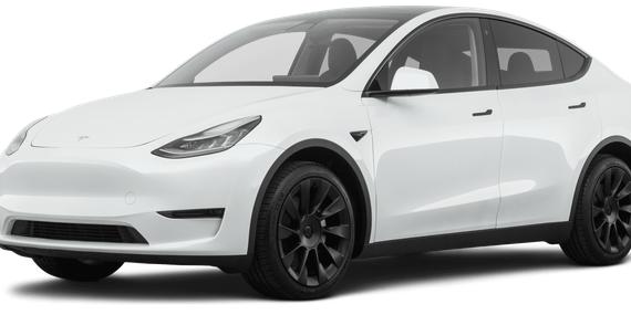 TESLA MODEL Y 2021 5YJYGDEE7MF091317 image